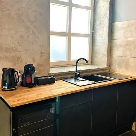 Insen Manufaktura Sauna I Masaze Bezplatny Parking דירה *