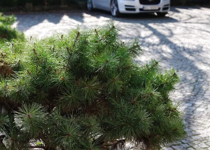 شقة Bakery Apartmenty Manufaktura, Klimatyzacja, Parking, Wejscie Na Kod